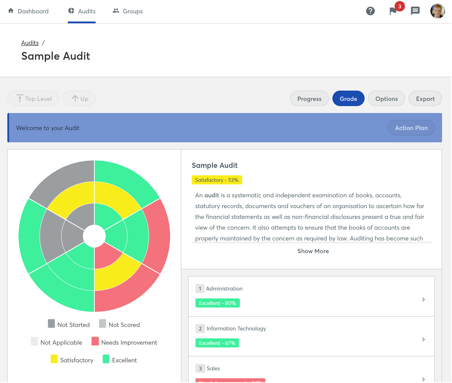 Screenshot of the Audit Overview